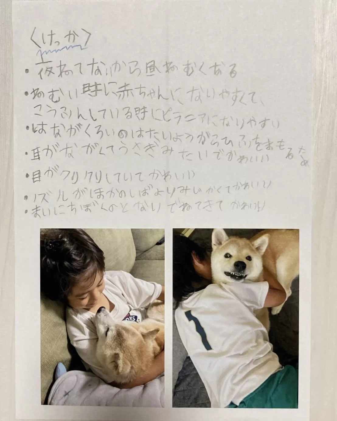 こんな感動する自由研究見たことない！ある小学生の今年の夏休みの宿題。