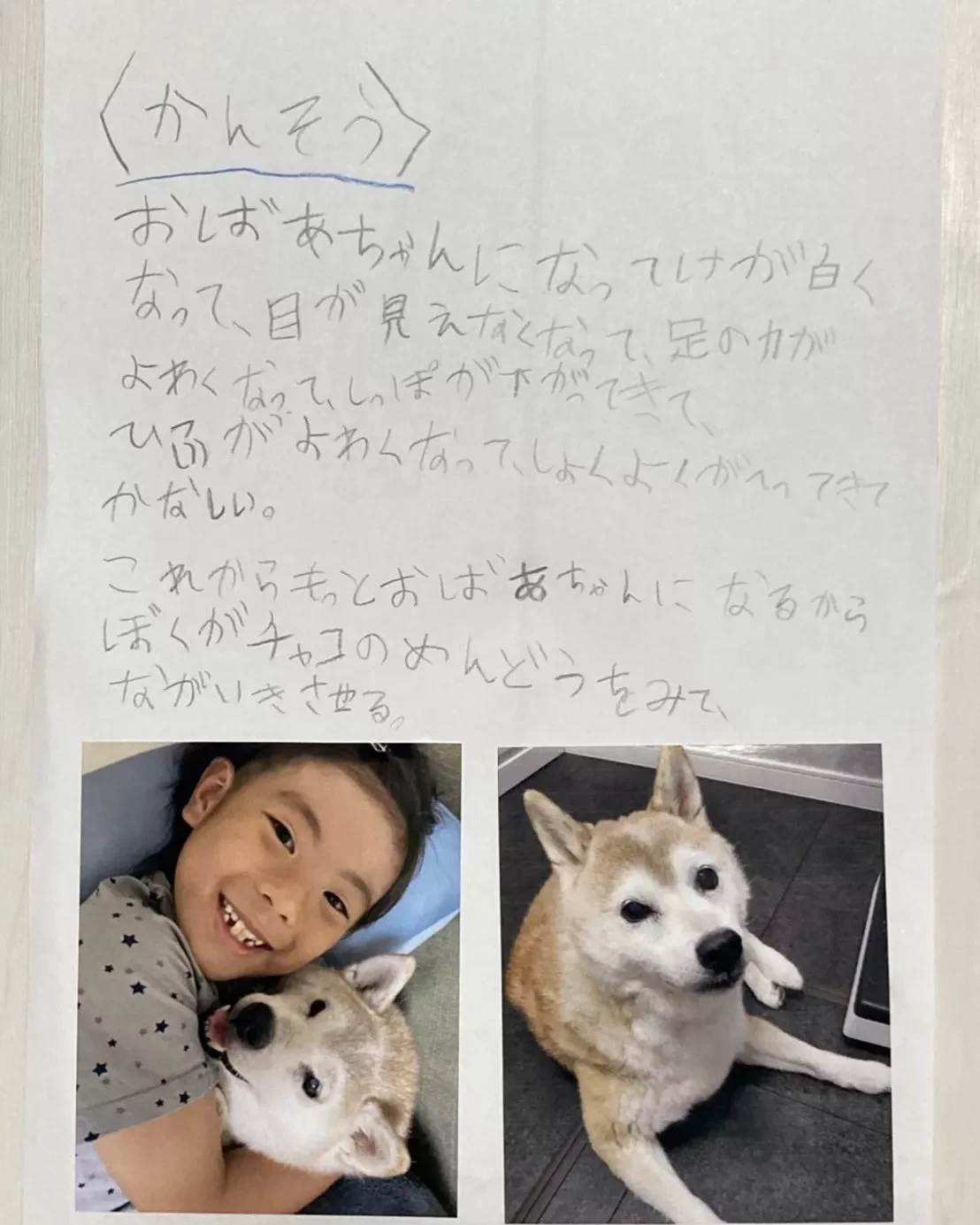 こんな感動する自由研究見たことない！ある小学生の今年の夏休みの宿題。