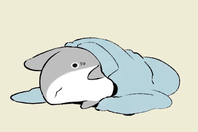 パーカーの子ザメ 