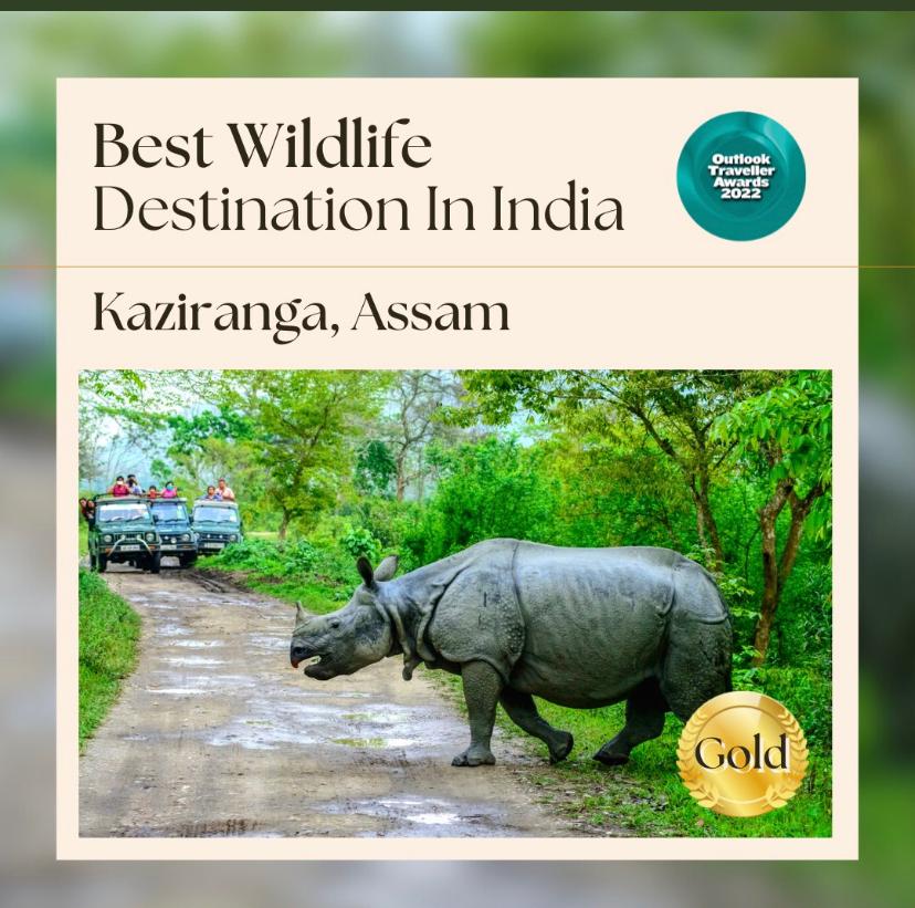 Top 174 + Which animal is protected in kaziranga national park ...