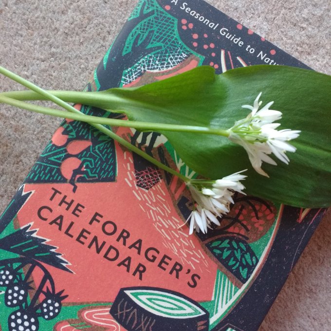 carolinewilding's tweet photo. I can heartily recommend #indexing as a career. I have worked on many interesting books over the past 30+ years. I now look forward to starting a new chapter... #retirement https://t.co/4nnTqNBOMr