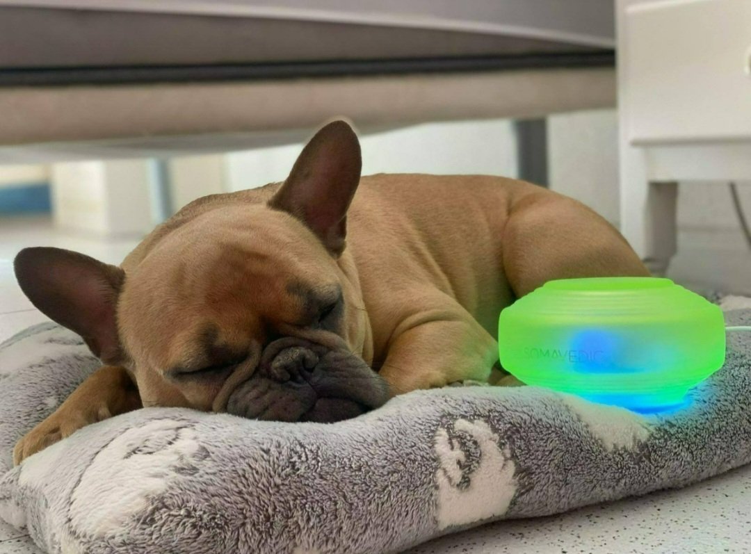 jzaddii's tweet image. Good Morning with Somavedic!
A great EMF mitigation device 💎

Shop yours today 💪🏾
𝟏𝟎% 𝐎𝐅𝐅 𝐂𝐎𝐃𝐄: BTFKAM
𝐒𝐡𝐨𝐩→ somavedic.com

#emf #emfblocker #radiationathome #ad