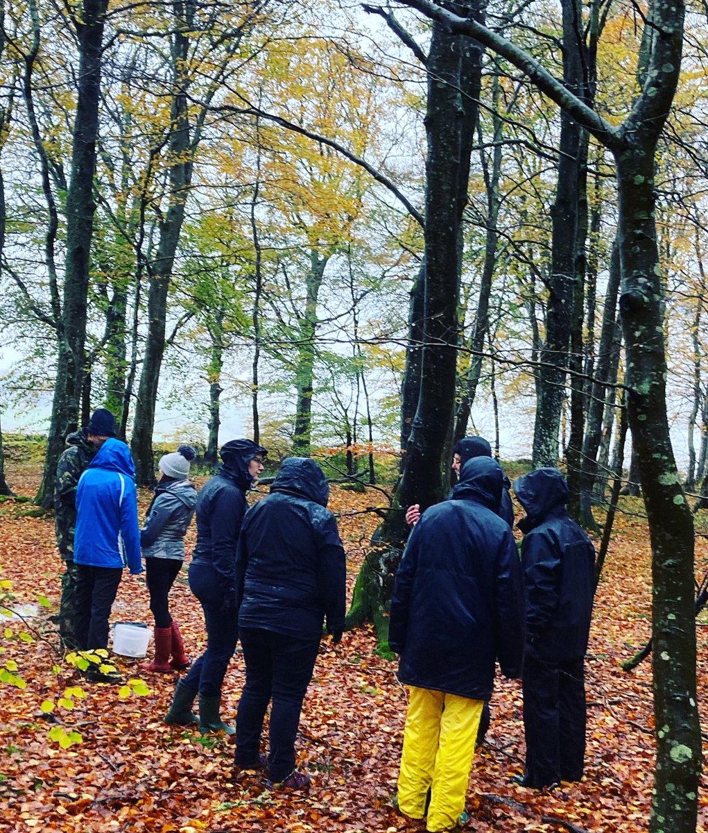 angusenvironews's tweet photo. New job alert!! fantastic opportunity to join the @AngusCouncil environment &amp; climate change team… help us deliver #Angus wide #climateaction more info at https://t.co/5WlAzwI36o #communities #industry #climate #SECAP #ClimateCrisis https://t.co/UCwAtZlBLh