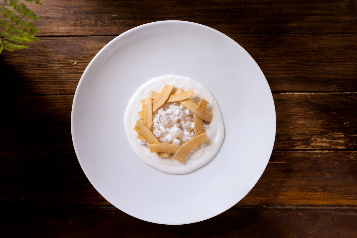 Ceviche de Coco con pescado curado, jícama y
coco marinado. 

#AlelíRooftop #Petfriendly #LoveFood
