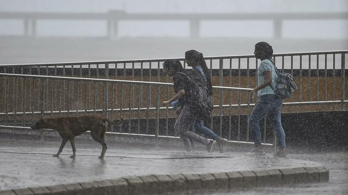 mid_day's tweet photo. #MiddayLiveBlog |

#MumbaiNewsLIVEUpdates: Cloudy sky with moderate rainfall likely today, says BMC

@mybmc #Rainfall #HeavyRainfall @IMDWeather 

Click to read the live blog ⬇️

https://t.co/c27rZTcceI https://t.co/m4IJxjxp43