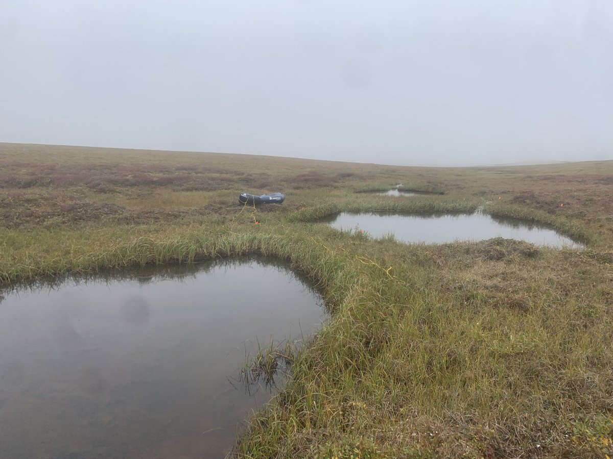 IGEA_UMASS's tweet photo. Group 3 had their first day out on the field today! It was overall a success! Very foggy and some rain but we pushed through. https://t.co/kp6wreydD6