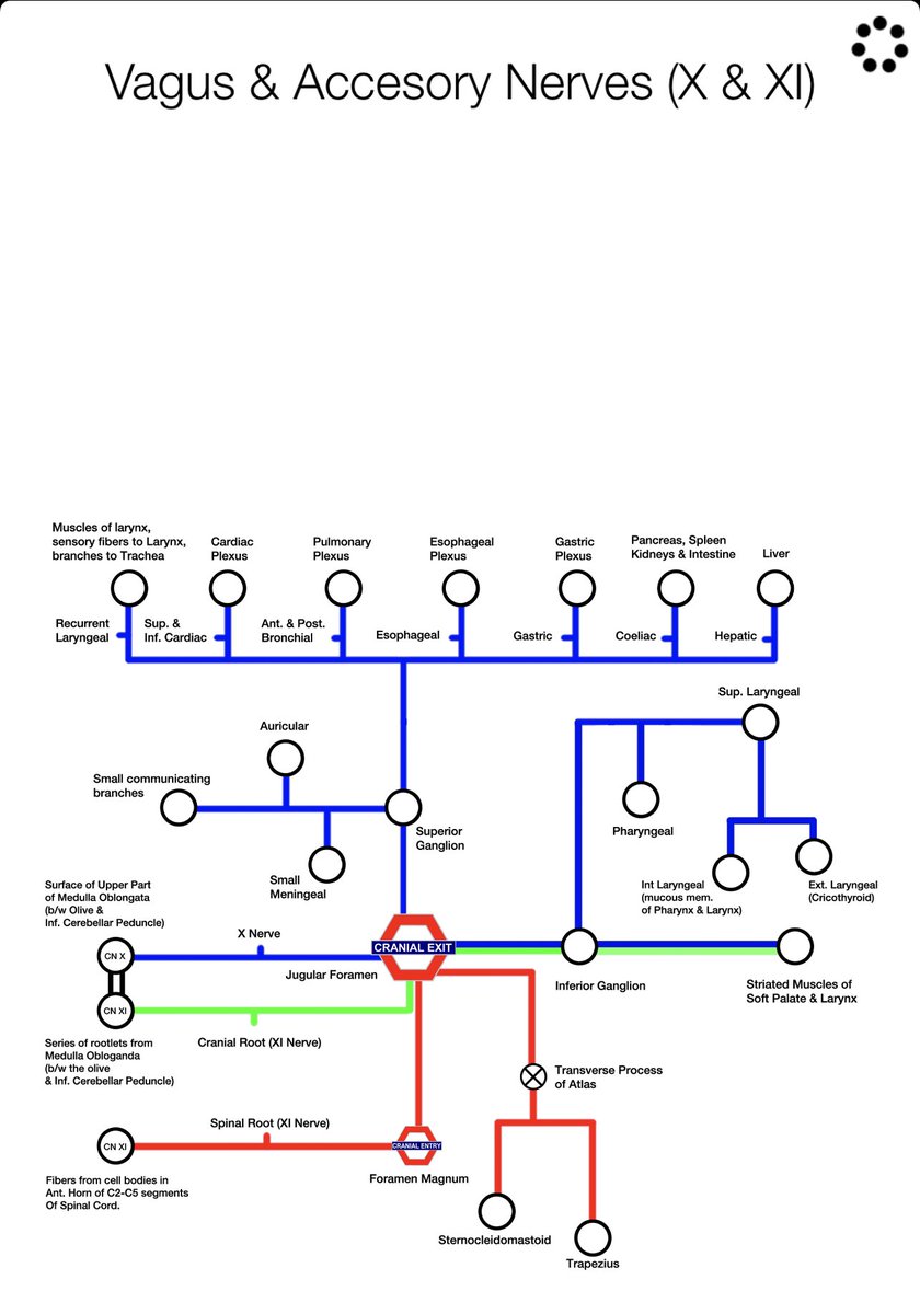 iCat Solutions Ltd tweet media