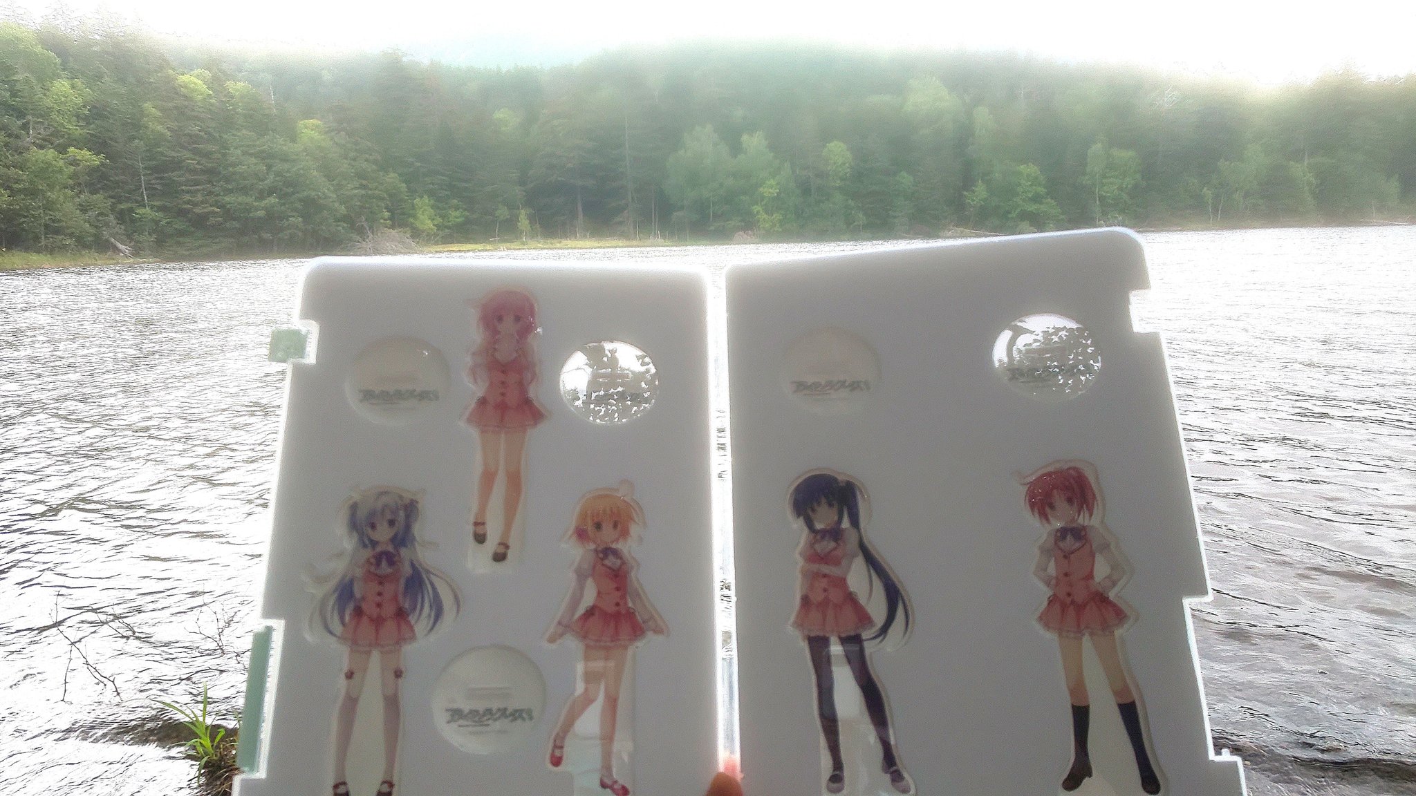 ひり Kcftwb6xxmuscvm Twitter