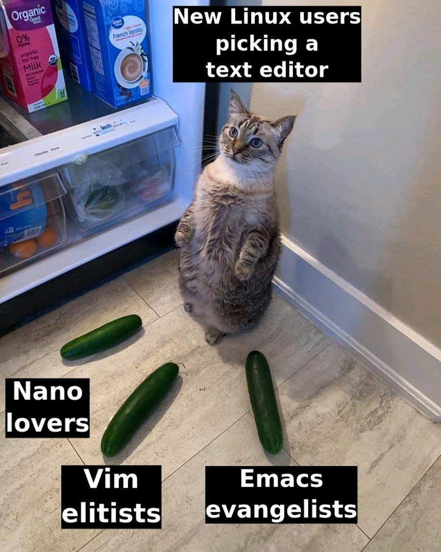 hackinarticles's tweet photo. Pic of the Day

#infosec #cybersecurity #cybersecuritytips  #pentesting #oscp #redteam  #informationsecurity  #cissp #CyberSec https://t.co/1gEMqwg1Tw