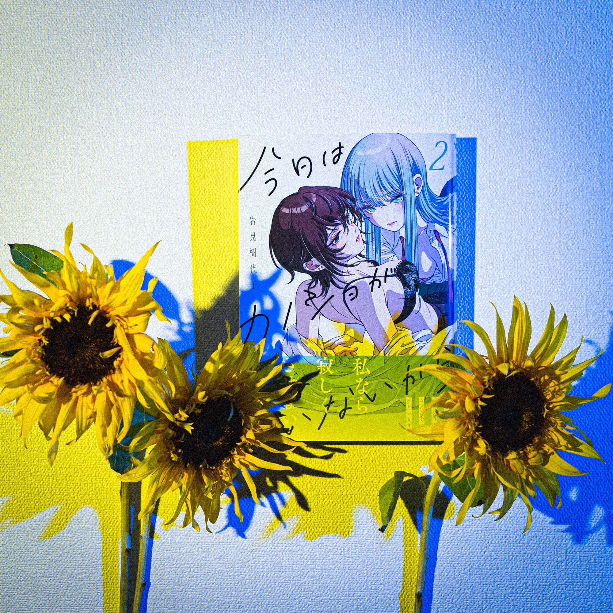 岩見樹代子 特集