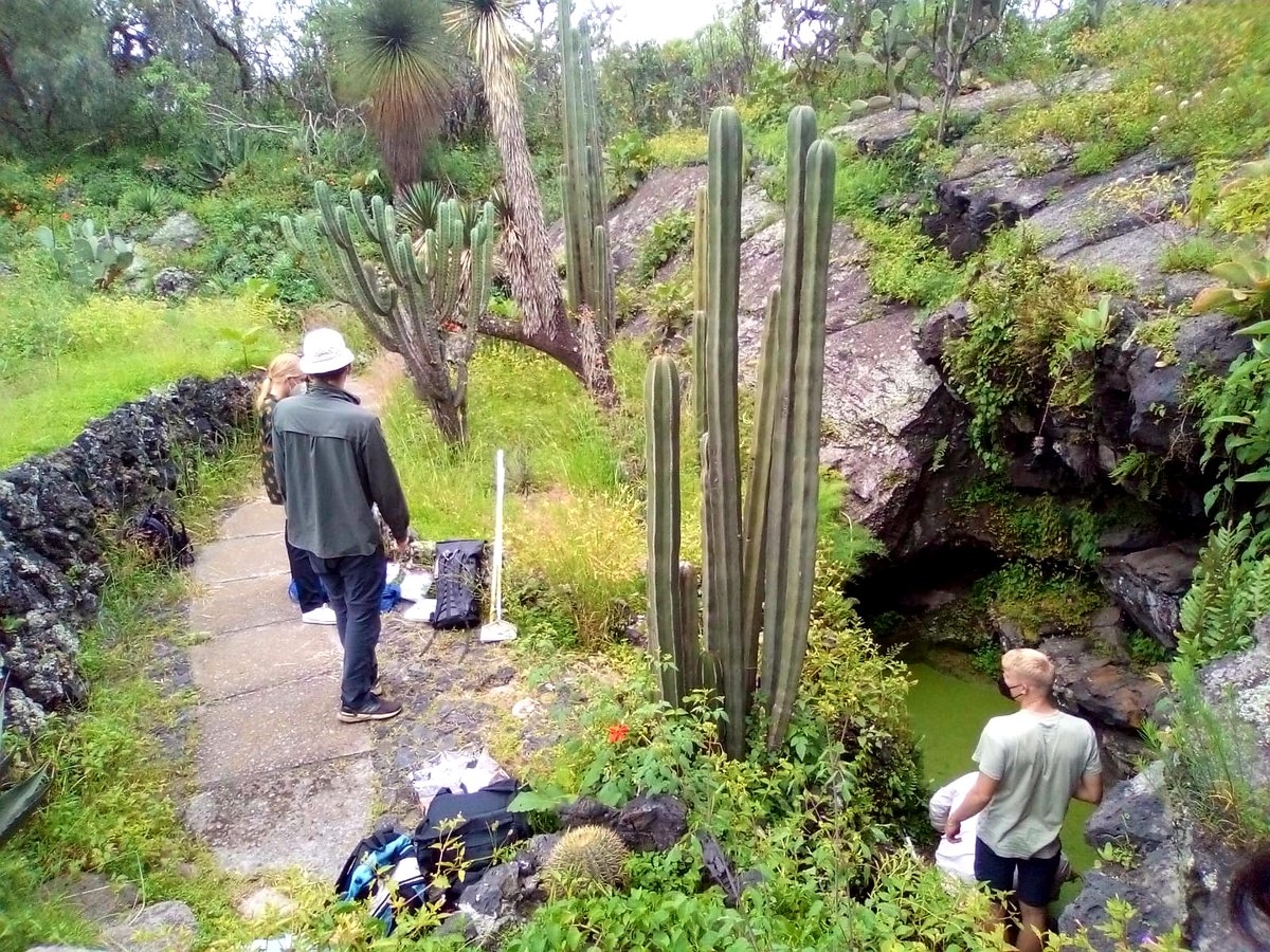 LisiPerezBiogeo's tweet photo. Day 4: our #biodiversity field course officially started in the #Botanicalgarden of the #UNAM! Credits: Itzel Sigala #biogeoscience #biodiversity #urbanecology #plankton #benthos #biology #jardinbotanicounam #repsa #unam #ciudaddemexico #mexicocity #mexico🇲🇽 #tubraunschweig https://t.co/NCaNC81yqZ