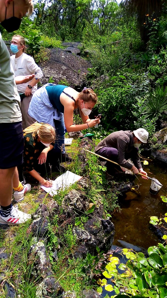 LisiPerezBiogeo's tweet photo. Day 4: our #biodiversity field course officially started in the #Botanicalgarden of the #UNAM! Credits: Itzel Sigala #biogeoscience #biodiversity #urbanecology #plankton #benthos #biology #jardinbotanicounam #repsa #unam #ciudaddemexico #mexicocity #mexico🇲🇽 #tubraunschweig https://t.co/NCaNC81yqZ