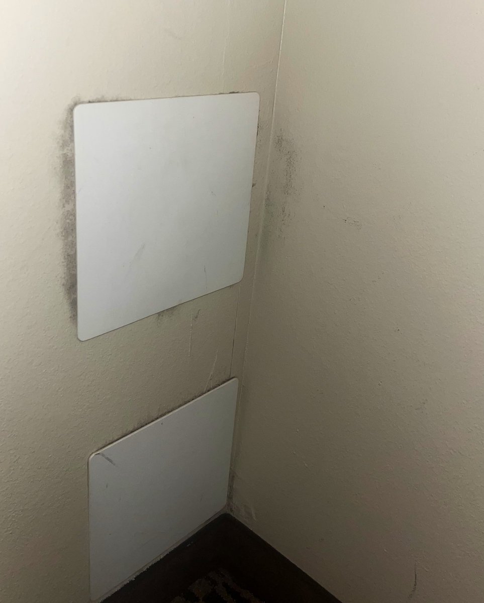 SimplyMonique's tweet photo. @ChoiceHotels @myfox8 Your hotel in Greensboro is plagued by black mold. I have asthma and experienced breathing problems as a result of the mold. I left in the middle of the night after finding the issue. I asked for a full refund and have yet to receive it. I want my money back https://t.co/l8XLTuFU6B