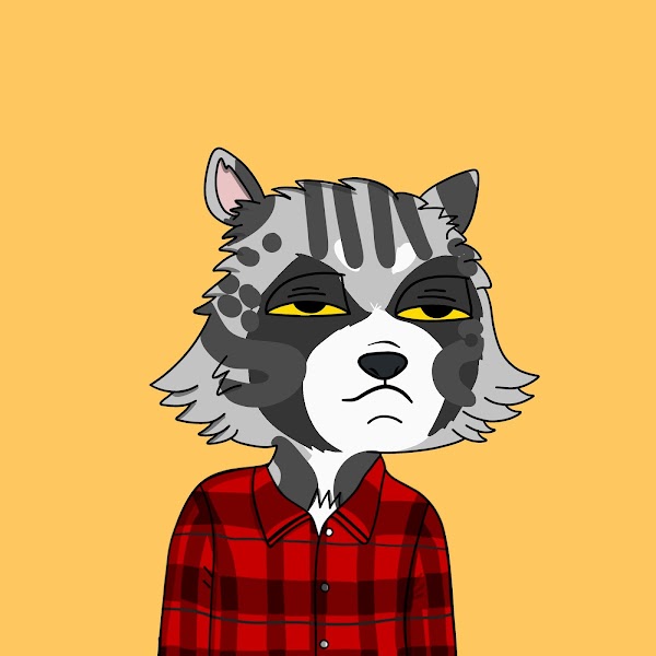 vhscrypto's tweet photo. 🦝 #GRRR https://t.co/QeCggmSyg5