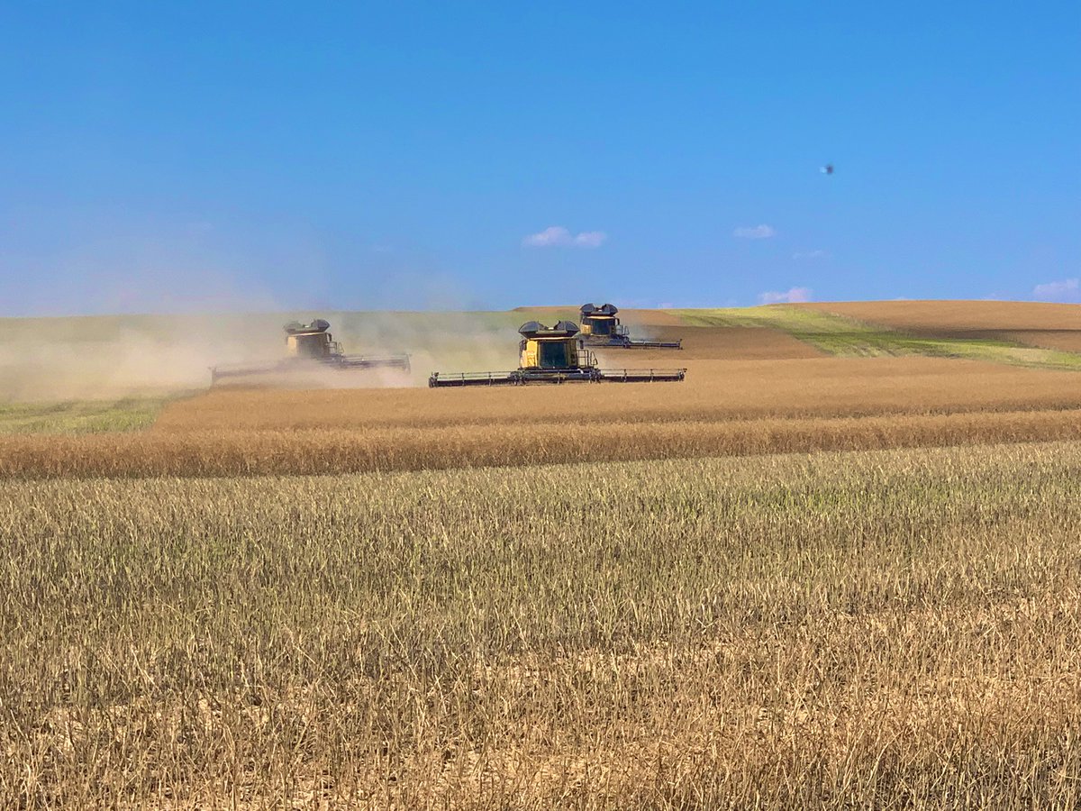 JordanBrisebois's tweet photo. Sounds like @TBrise17 is heading down the home stretch for harvest at Brisebois Farms LTD…the @NewHollandAG 9.9’s were like the @MondayNooner boys today…just buzzin’ #comeups #TASS https://t.co/Z6Tn0GKu5E