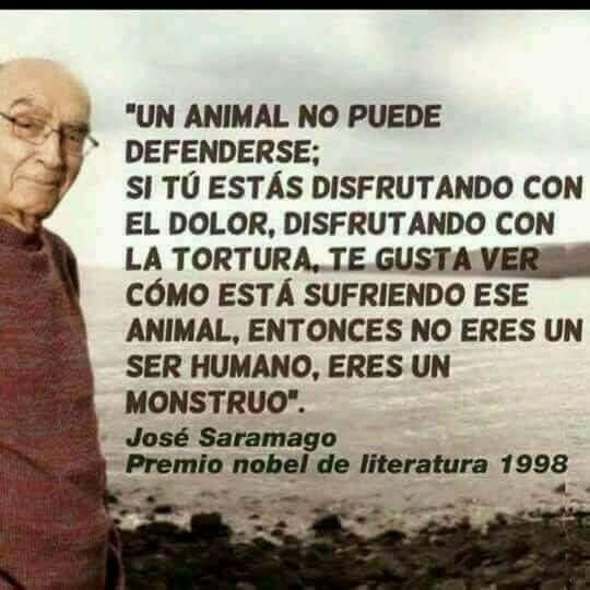 TroskyKong's tweet photo. José Saramago dijo : https://t.co/omJS4ecLWj