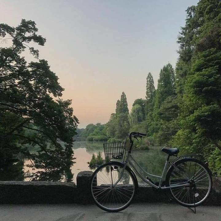 aestheticspost_'s tweet photo. tranquility. https://t.co/ZNhubl7h9D