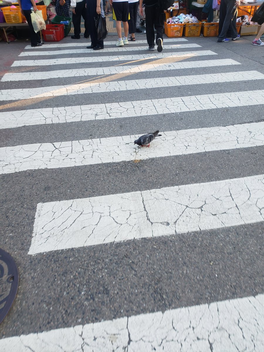 被疫情影响的好久都没去首尔了，东大门否繁华依在。 https://t.co/LZgYUf0sNp