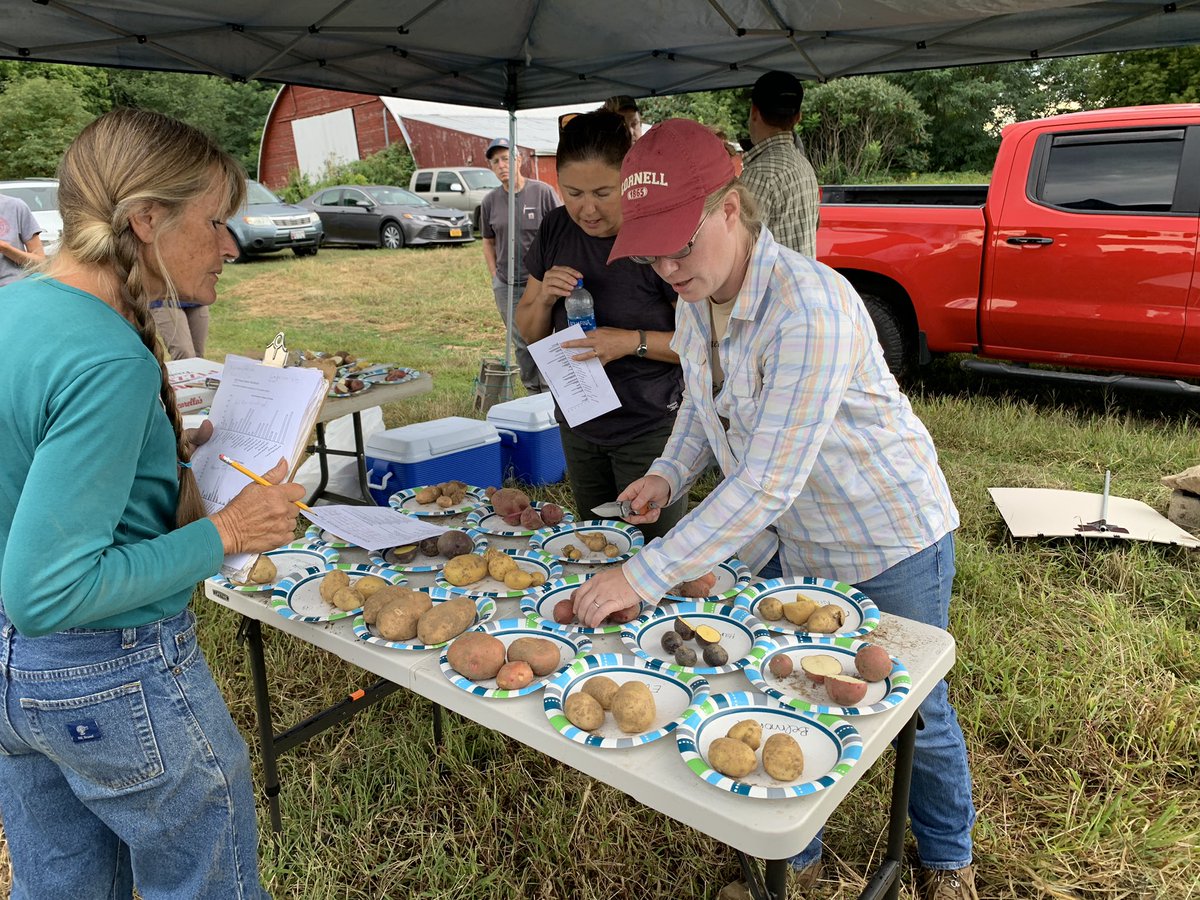 Lori Koenick tweet media