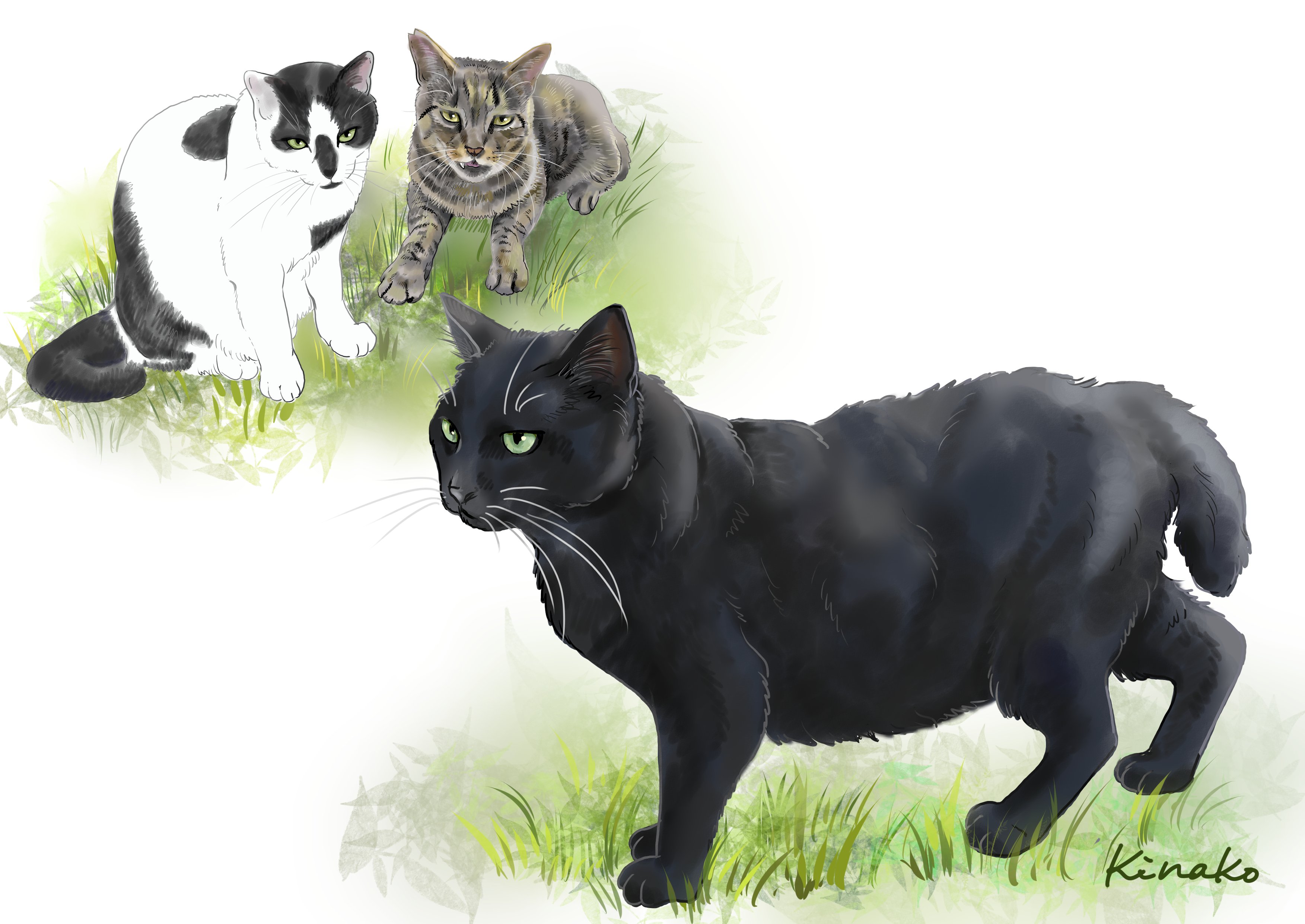 きなこ 猫の絵を描いています 91rudo Twitter