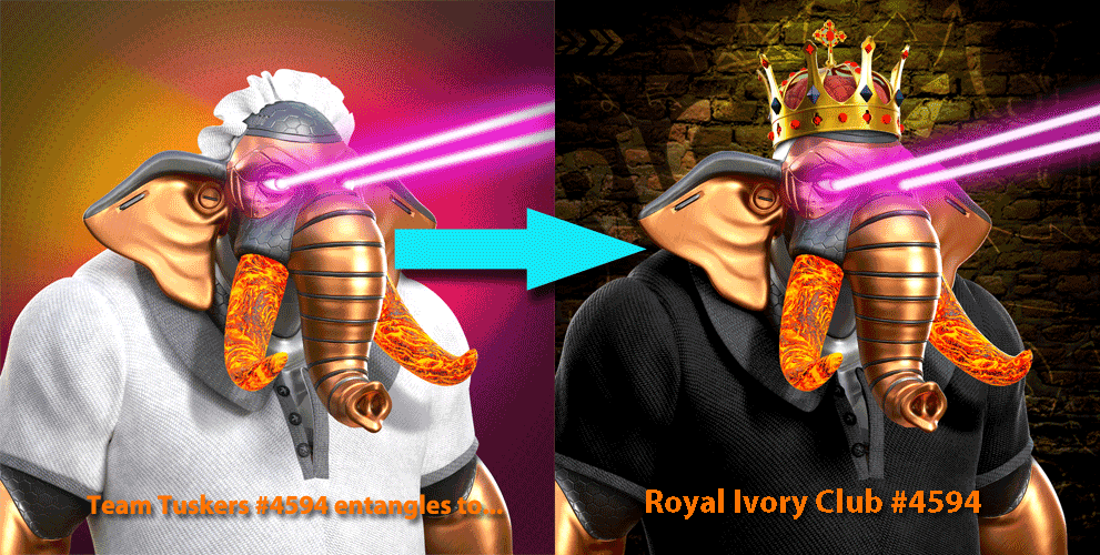 Royal Ivory Club tweet media