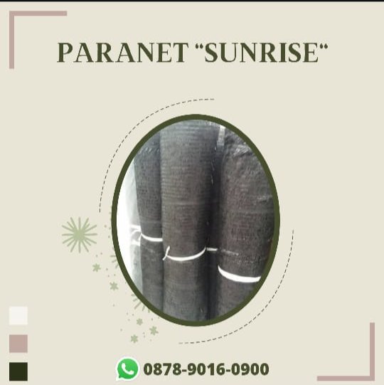 Pusatpenjualan3's tweet image. Kualitas Terjamin, WA+6287890160900, Pusat Penjualan dinding paranet  Surabaya

#Paranetdesign #paranetdanplastikuv #dayatahanparanet #desainparanet #dindingparanet