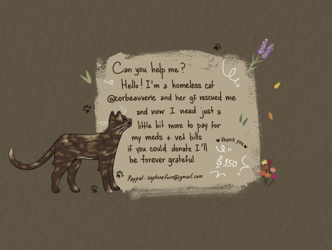 hello guys can you please take a look?