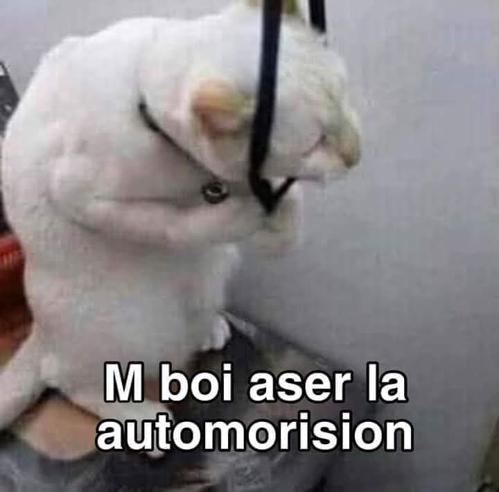 Vnllamlk's tweet photo. @taegisgod Estaba apunto de cómpralo y se trabó para decirme que ya era sold out 😭😭 https://t.co/QP7HjpqQyA