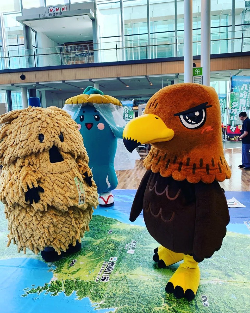 くま Railkumagoch Twitter