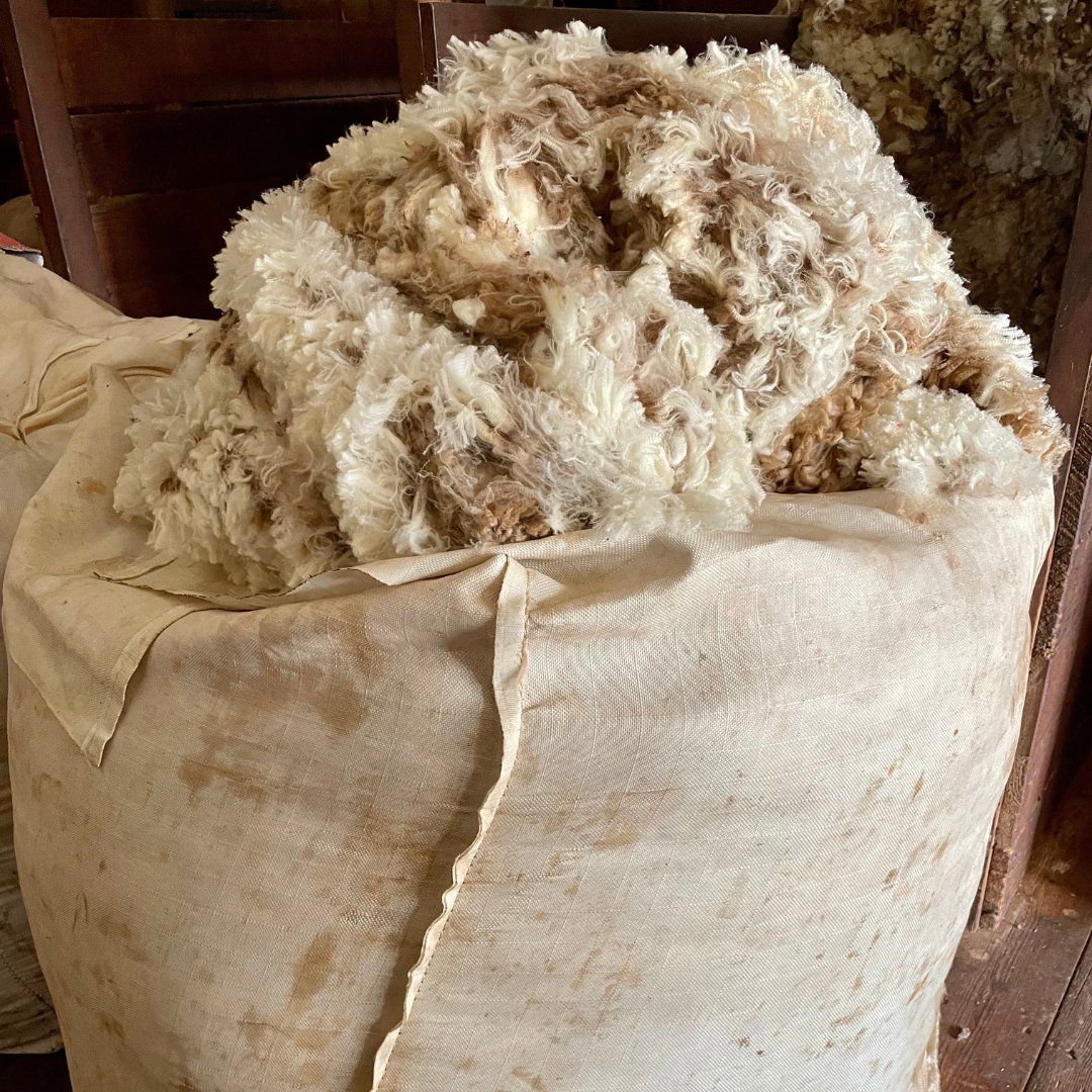 RabobankAU's tweet photo. Behind the scenes from this week's on farm client photo shoots for some upcoming stories.

Our visit to South Australia included stops in Macclesfield, Eudunda, Burra &amp; Arthurton.

Stay tuned!

#Agriculture #Agribusiness #Rural #Farm #SA #Sheep #Wool #Beef #Grains #AgChatOz https://t.co/fqvP4hYvyB