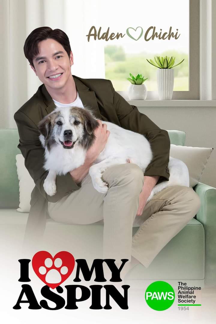 Thank you for advocating for the welfare of Aspins, dog-lover-like-many-of-us <a href="/aldenrichards02/">Alden Richards</a>. Keep up with the good deeds which comes natural to someone like you. Proud of you for using your influence for the good. All the best. 🐶💙

#ALDENRichards
