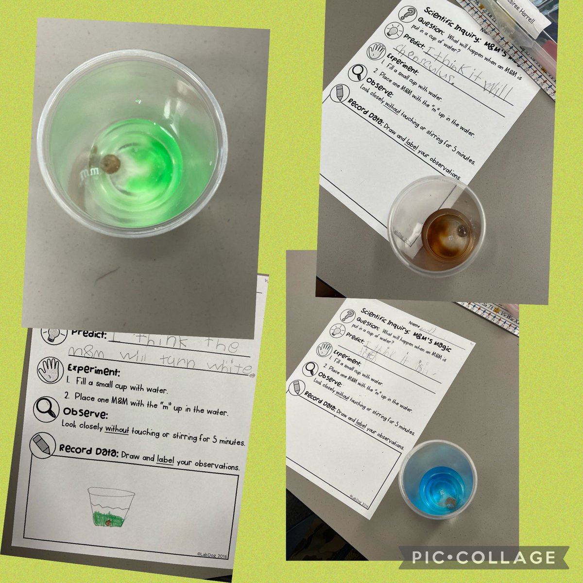 LeslieMarionK's tweet photo. Our first science experiment of the year! M&amp;M magic! Check out the floating letter M’s! #allenscience #20yearsME @MarionMavericks https://t.co/f2tY14tRkS