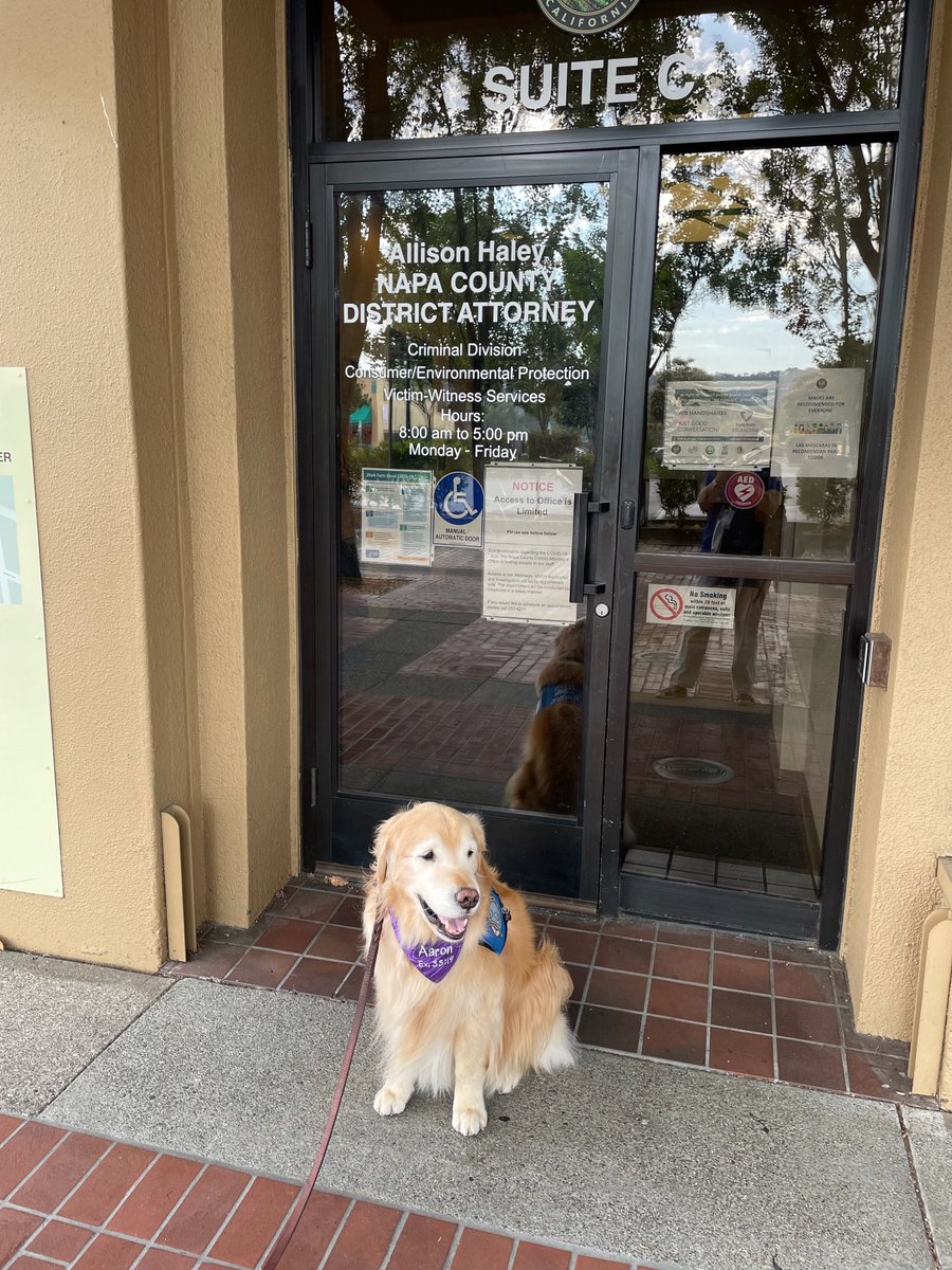 So grateful I got to work in court today and provide some much needed cuddles and comfort! ❤️ #comfortdogs