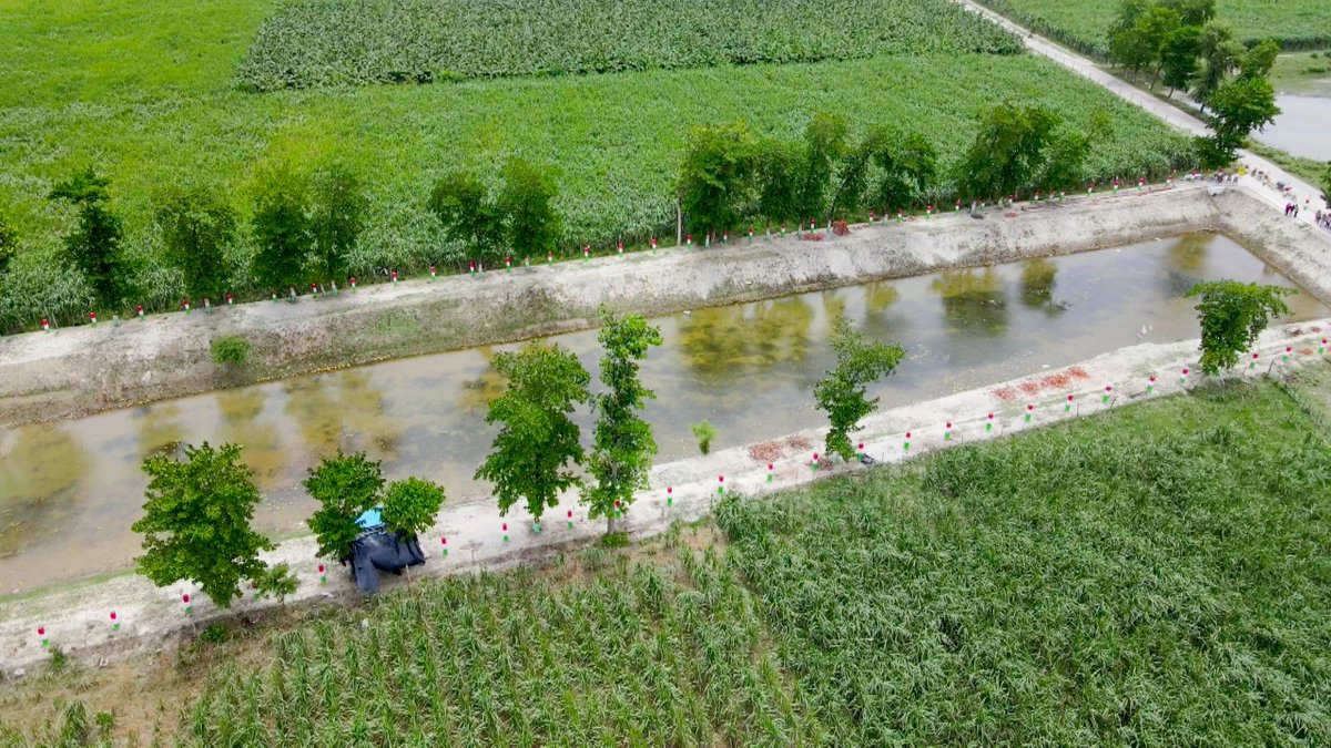सुप्रभात।

अमृत सरोवर अभियान।

आज़ादी का अमृत महोत्सव।।