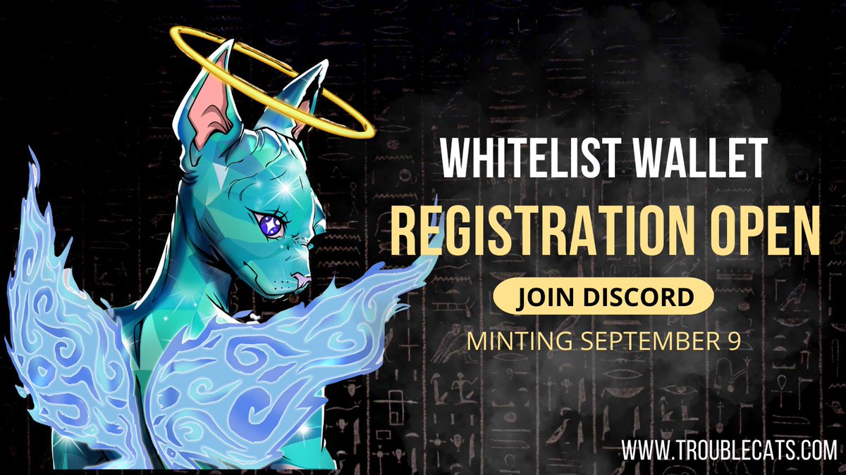 Trouble Cats | Tier 1 Sold Out tweet media