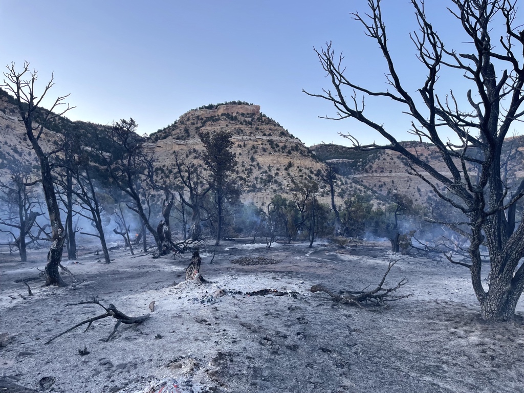 UtahWildfire's tweet image. NEW START: #TramwayFire burning about 2 mi W of Helper. One acre; no structures threatened. Lightning caused. Smoke visible from Price &amp;amp; Helper. 2 engines, a water tender &amp;amp; helicopter assigned. Wasatch Helitack arriving tomorrow. #blmgl

PHOTOS: Rudy Sandoval, UFFSL