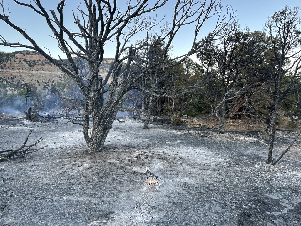 UtahWildfire's tweet image. NEW START: #TramwayFire burning about 2 mi W of Helper. One acre; no structures threatened. Lightning caused. Smoke visible from Price &amp;amp; Helper. 2 engines, a water tender &amp;amp; helicopter assigned. Wasatch Helitack arriving tomorrow. #blmgl

PHOTOS: Rudy Sandoval, UFFSL