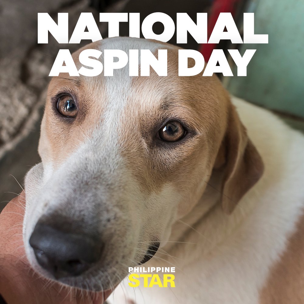 Patingin naman ng furbabies n'yo! Happy National Aspin Day 💗
