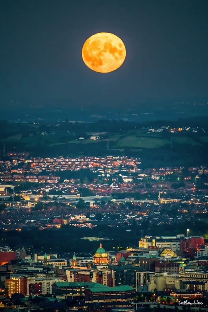 Colin Laverty tweet media