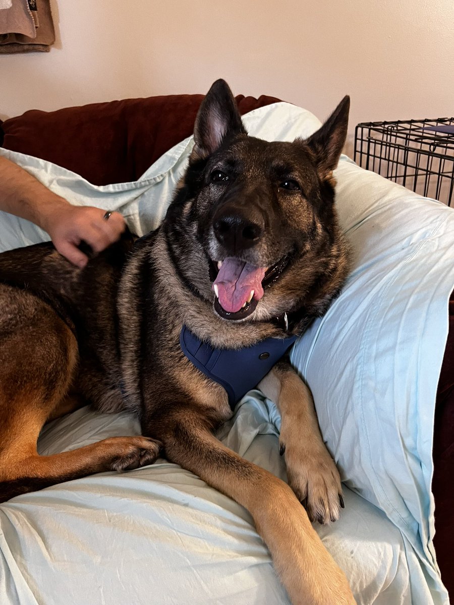 Mrs. Hill tweet media