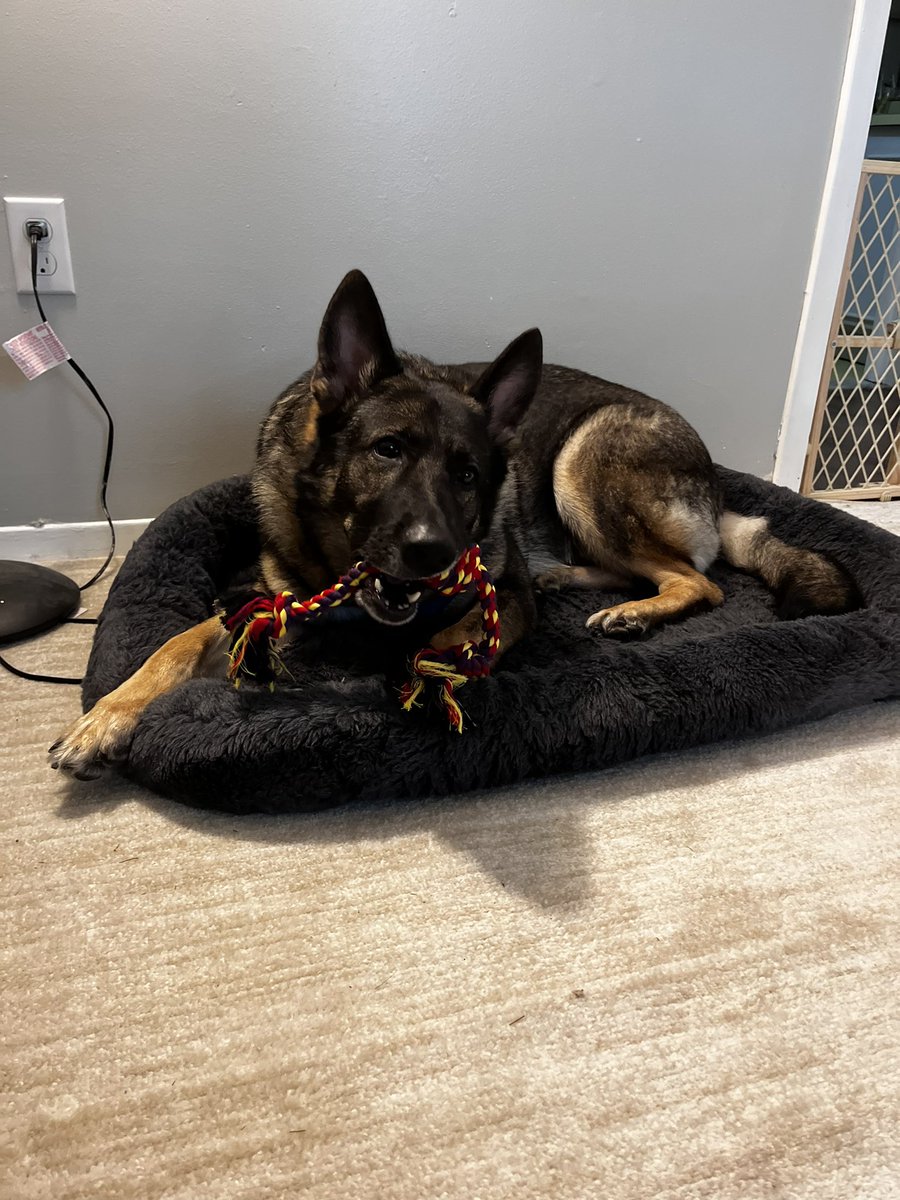 Mrs. Hill tweet media