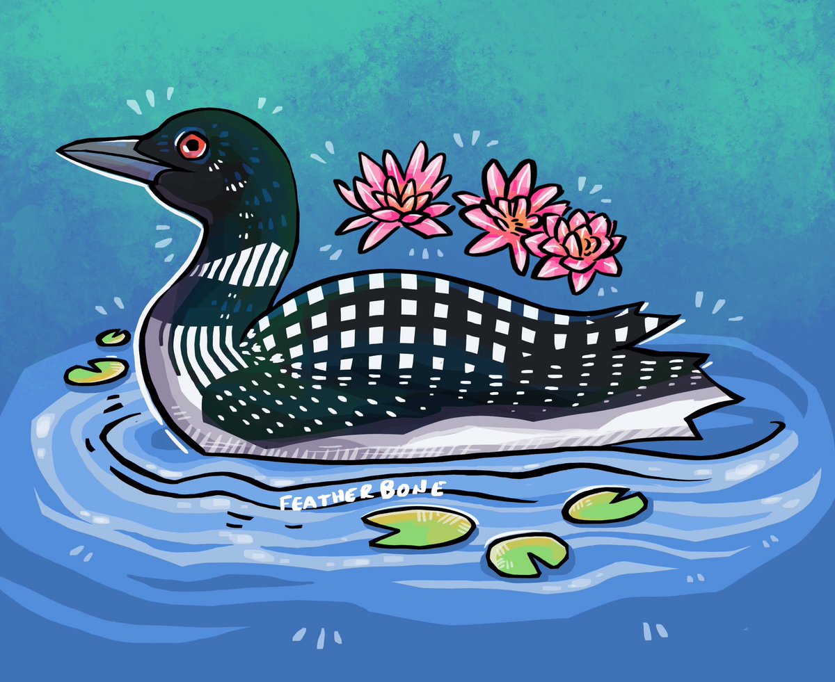 Featherboneart's tweet photo. Loon! https://t.co/TWyhp7CPVu