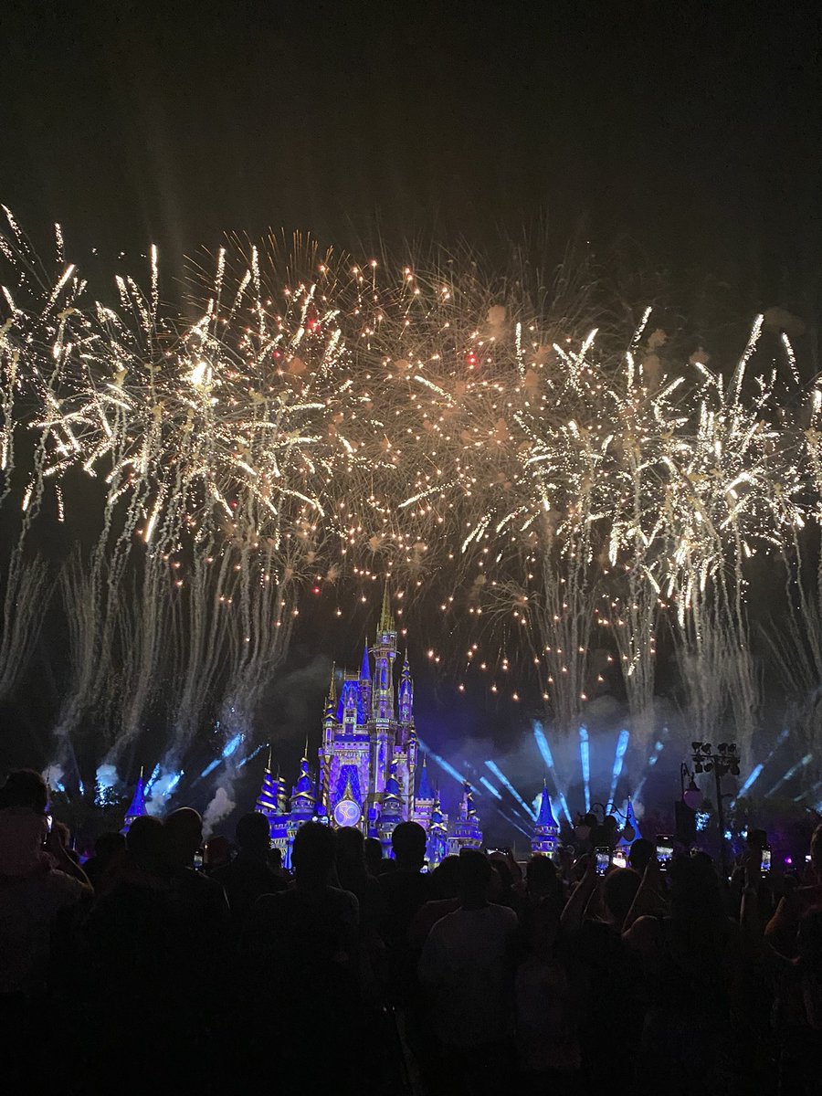 AnnaMPaterson's tweet photo. @WaltDisneyWorld thank you for a magical evening https://t.co/JnduWnIDJa