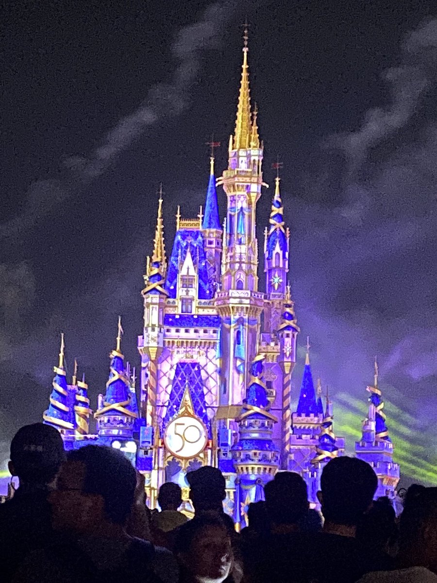 AnnaMPaterson's tweet photo. @WaltDisneyWorld thank you for a magical evening https://t.co/JnduWnIDJa