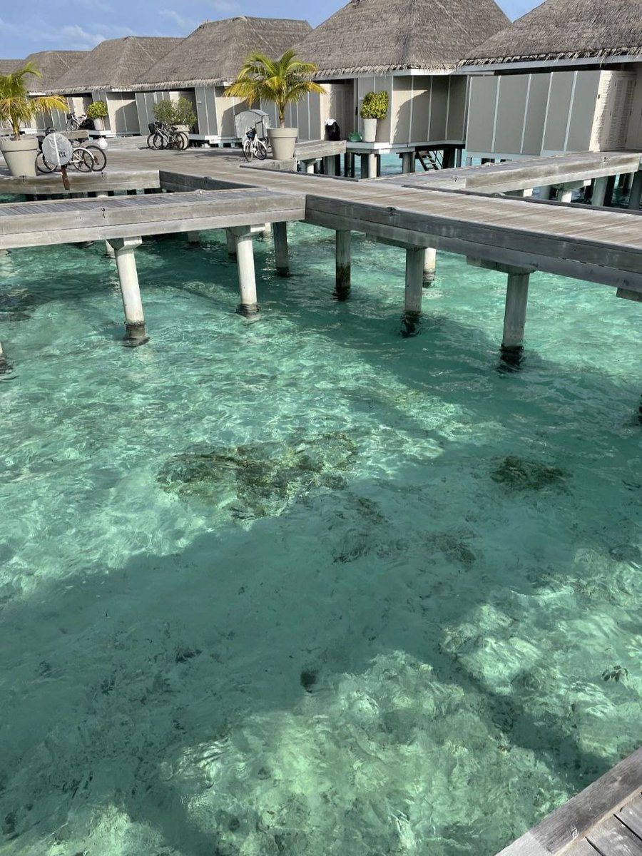 Amy919919's tweet photo. Maldives https://t.co/JF0ZQh2gHS