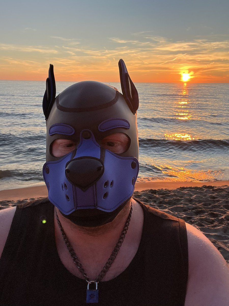 ThePupWinston's tweet photo. Yay pup went to the beach to watch the sunset tonight! 🐶☀️🔽🥰🥰 https://t.co/AY07MNfp0p