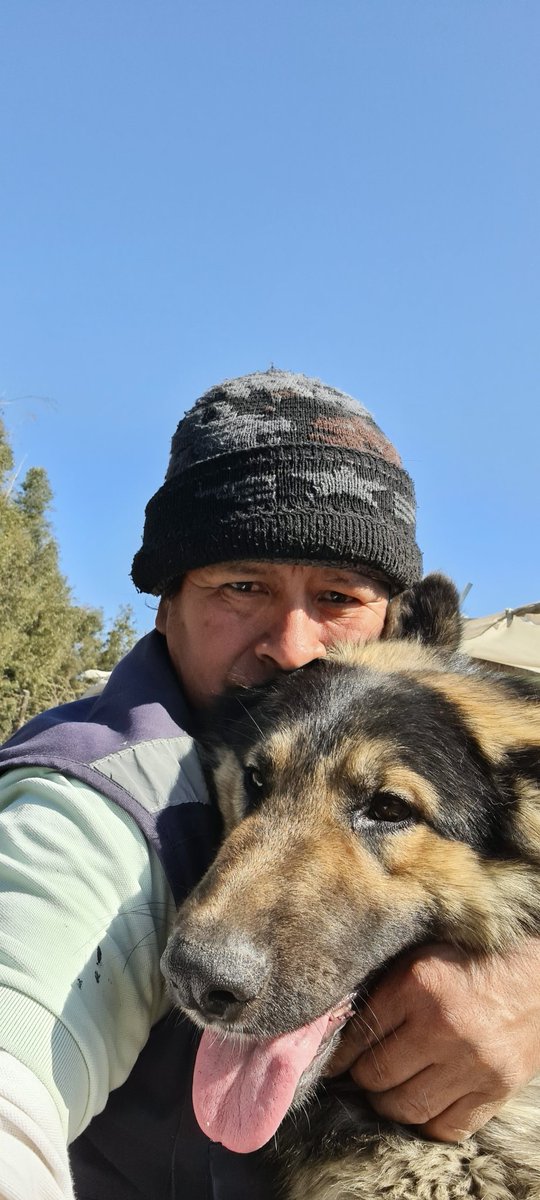 Papitobobe's tweet photo. Más regalón no puede ser ... 
Siempre ahy koda ... https://t.co/V9055qr1BH