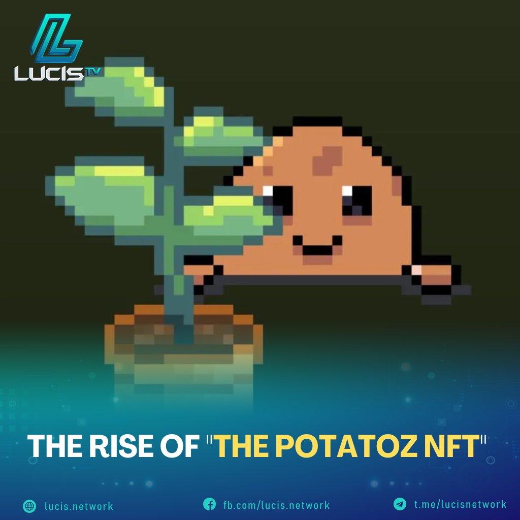 Capy_Research's tweet photo. 🥔The Rise of "The Potatoz NFT"🥔
@ThePotatozNFT has emerged as the newest emerging star in #NFT industry with total trading volume of ~ $15M, it is currently the 8th most traded collection last 7Ds. This collection is stylishly resisting the 🐂 market
#LucisNetwork #cryptonews https://t.co/mOslbKPegd