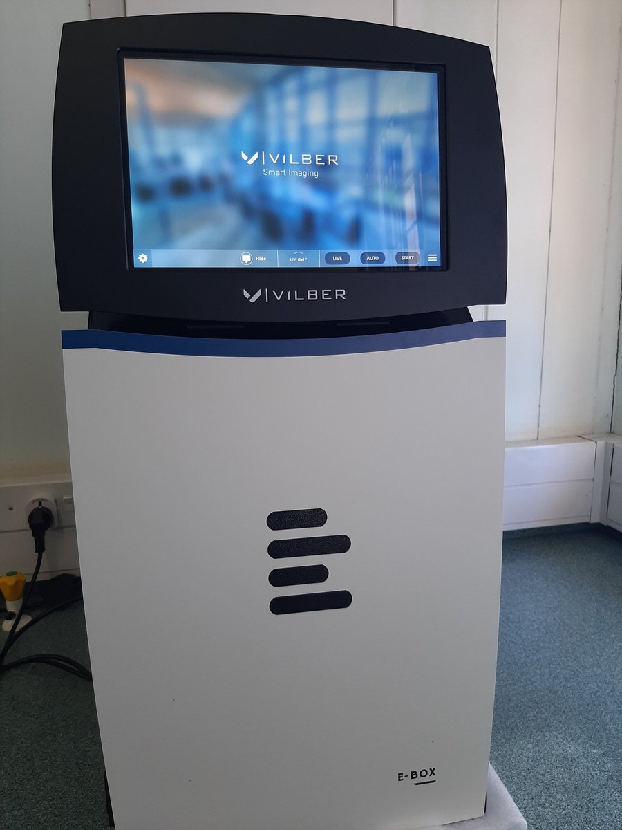 Simbarashe Chitanga tweet media