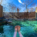 月山もも🍶#ひとり旅本 9刷のツイート画像